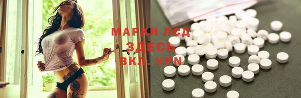 PSILOCYBIN Дмитриев
