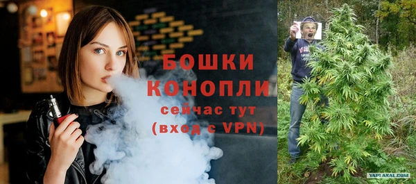 PSILOCYBIN Дмитриев