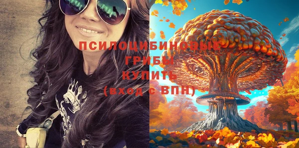 ALPHA PVP Дмитров