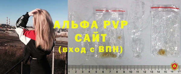 PSILOCYBIN Дмитриев