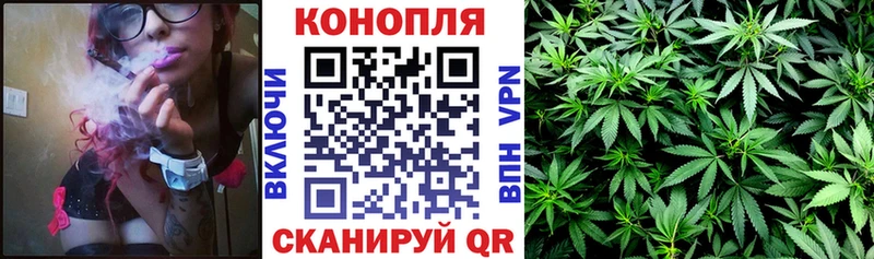Купить где  Магадан  Бошки Шишки марихуана 